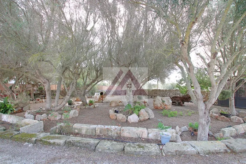 Country house for sale in Ses Salines — photo 10