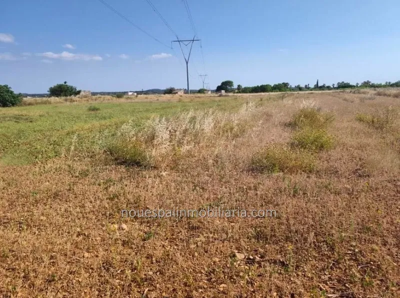 Rustic estate for sale in Muro, in the Son Mieres area — photo 4
