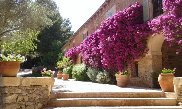 Glorious Mallorcan country finca with large estate for sale in Artá, Mallorca — photo 4