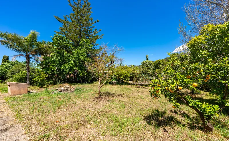 Country house with large garden in Sóller — photo 12