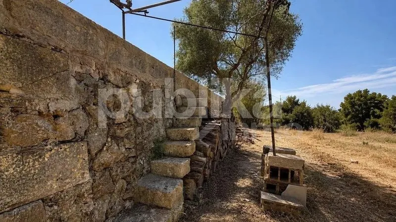 Rural or Farmhouse in Muro, Province of Balearic Islands — photo 3