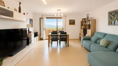 Apartment on Carrer de l'Organista Rafel Femenía — photo 4