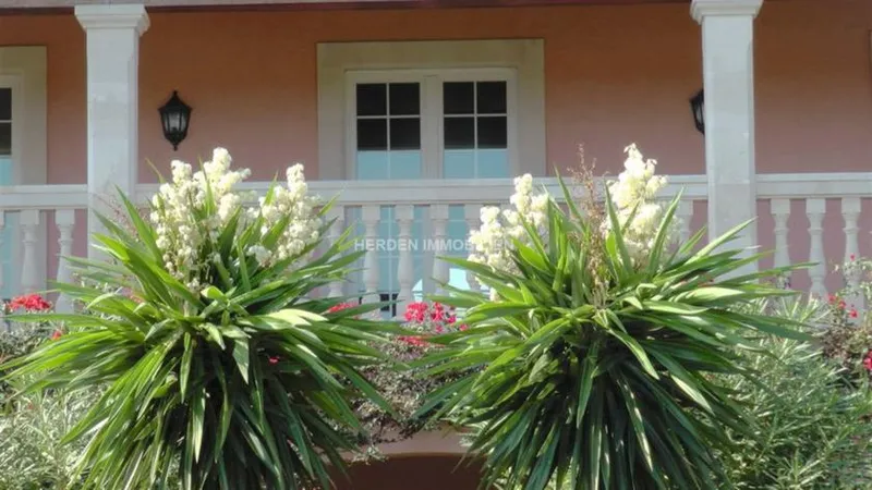 Luxury Finca for Sale in Santa Margalida - Mallorca — photo 12