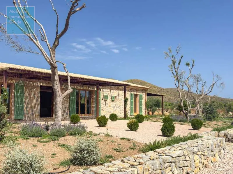 Capdepera, newly built, accessible finca with a swimming pool — photo 5