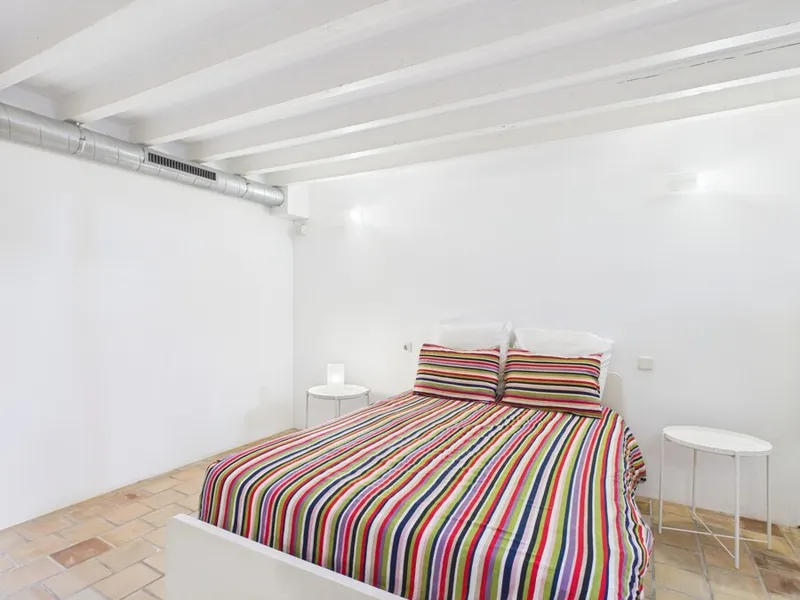 Charming multi-level one-bedroom home with mezzanine in Santa Catalina — photo 5