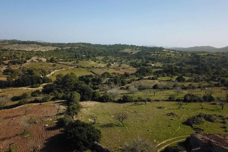 V585 – Exclusive plot with old finca to renovate between Sant Llorenç and Artà — photo 3