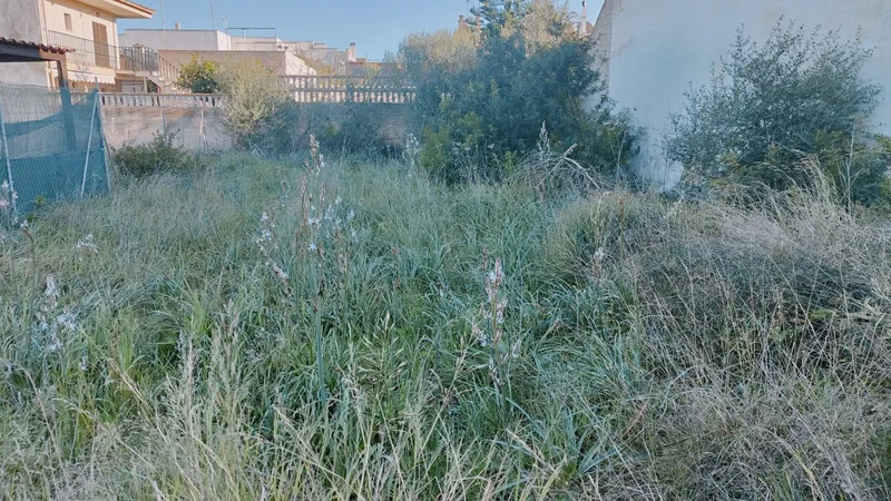 Exchange. Buildable plot in S'Estanyol. Near the sea and the port — photo 7