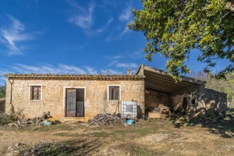 Rustic finca — photo 4