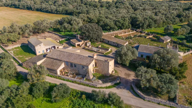 Fantastic finca in Vilafranca de Bonany with project and building license, large plot for investors — photo 1