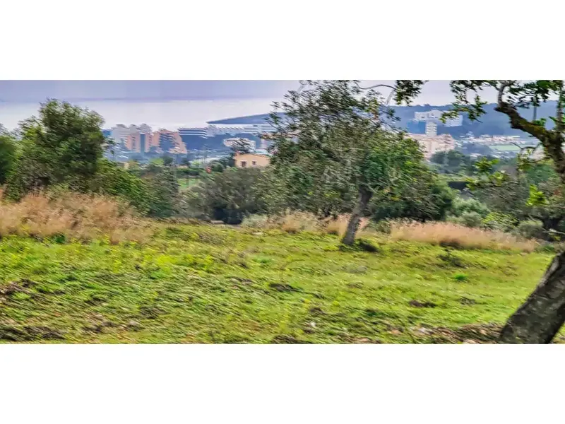 In the Bellavista area, very close to Cala Millor, on a plot of 14110 m2 we offer you this new project: a finca of a superf — photo 12