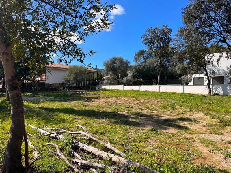 Plot of 1,100 m2 in Crestatx for a single-family home — photo 3