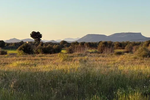 Campos, Idyllic Plot with Panoramic Views and New-Build Project between Campos and the Coast — photo 6