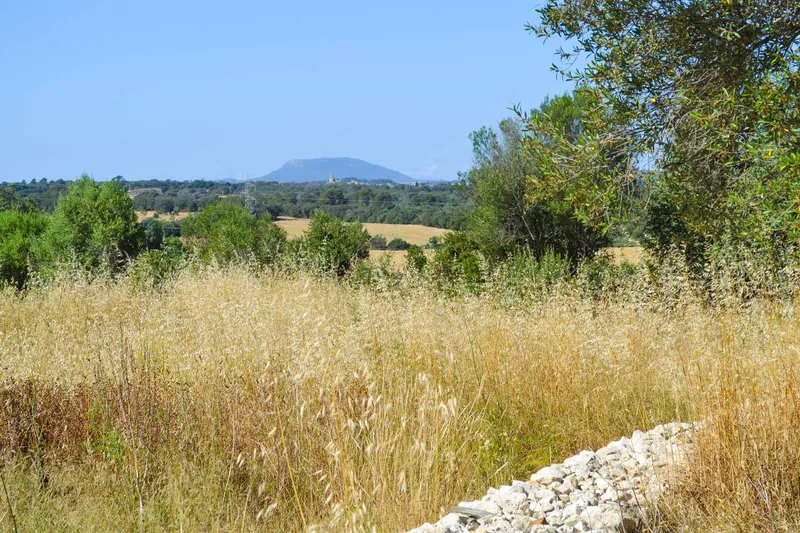Llubi – Building plot with 35,032 m2 of land without project — photo 9