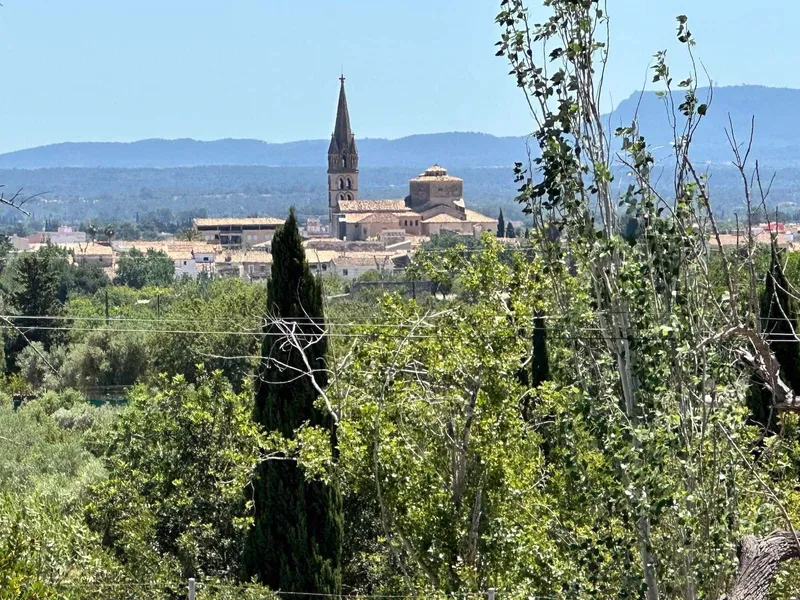 Villa for sale in Binissalem, Mallorca — photo 6