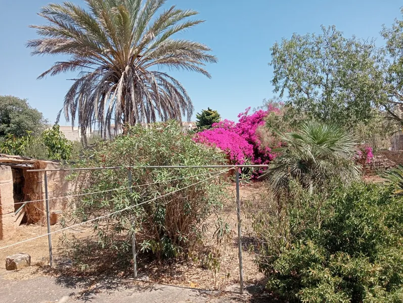 Beautiful village house in Santanyí — photo 1