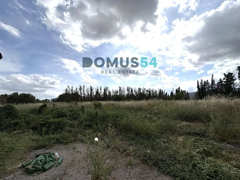 Unbuildable rural plot with a shed in Sa Pobla — photo 10