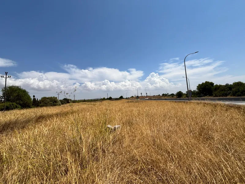 Buildable plot in Pla de na Tesa, Marratxí — photo 3