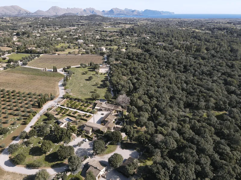 Farm with cellar and stables in Pollensa — photo 2