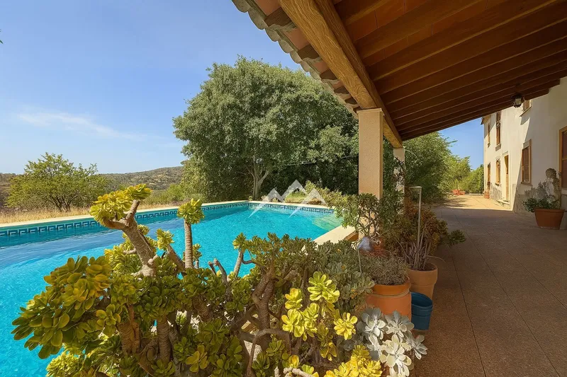 Finca with house and pool — photo 4