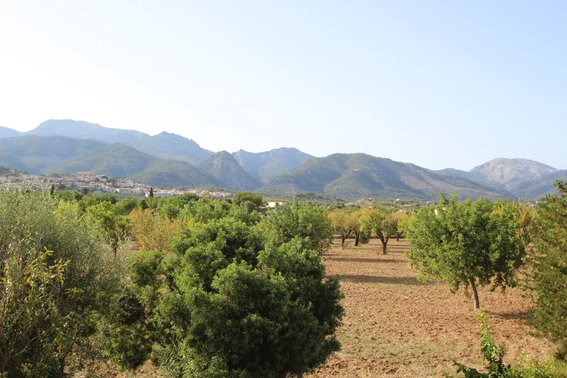 171448 Traditional country house with incredible views in Selva — photo 1
