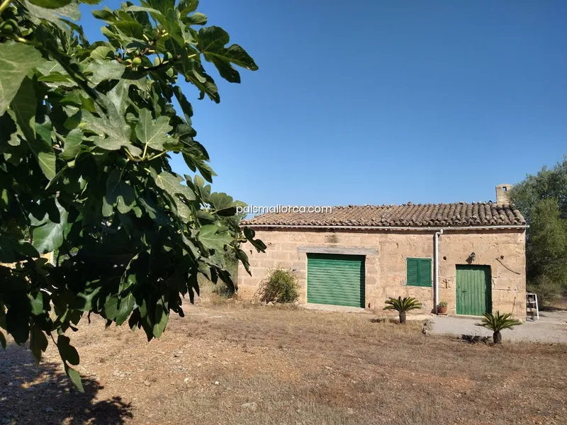 Country House in Palma — photo 2