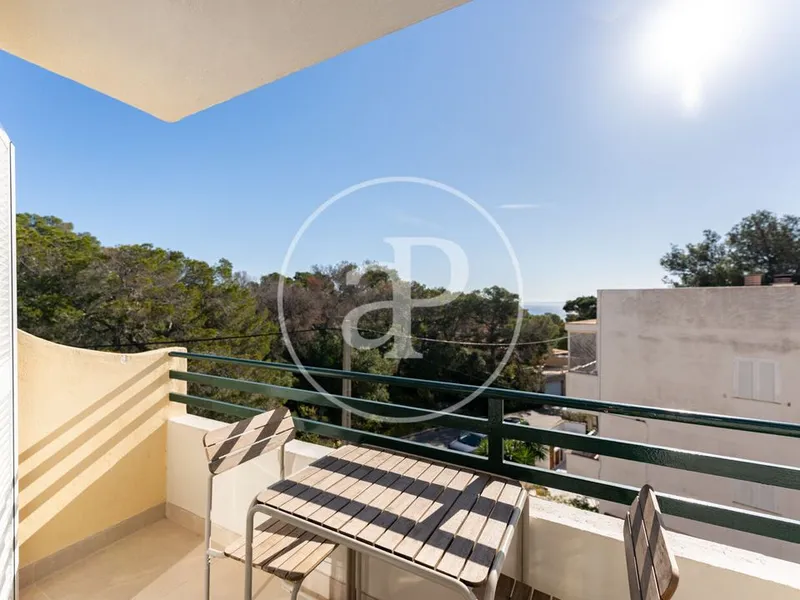 Penthouse in Calvia, Mallorca — photo 3