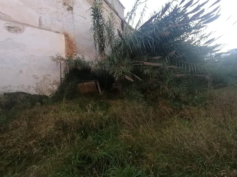 Buildable plot in the center of Felanitx — photo 6