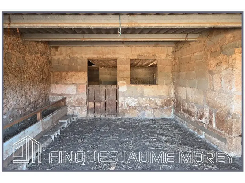 En el municipio de Búger les ofrecemos esta finca rústica de uno 8.000m2 de terreno con una edificación agraria existente de unos 240m2 apro — photo 7