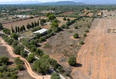 Rustic plot in Algaida — photo 3