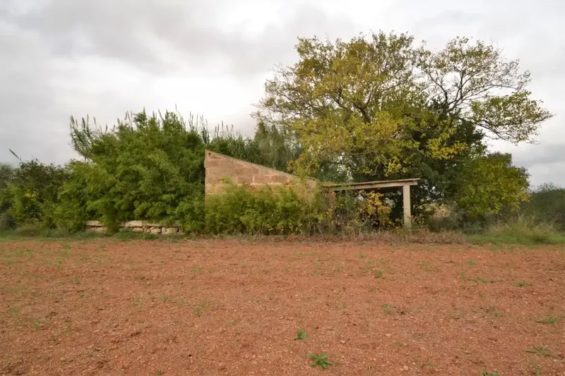 Plot of 15300 square meters with tool shed to be renovated — photo 2