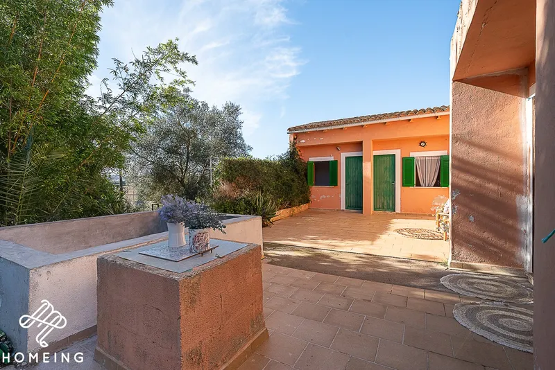 Rustic finca with electricity and own well water, near the beaches of Alcudia Bay — photo 6