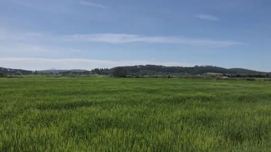 Rural Land - Sant Joan (Centro), Plot Surface 17056m² — photo 9