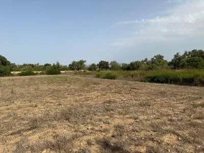 Rural Land - Sineu, Plot Surface 21,300 m² — photo 8
