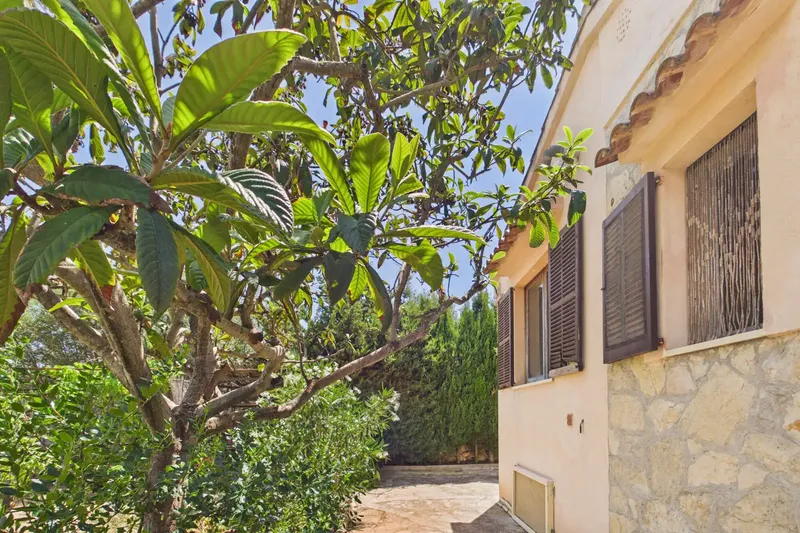 Charming finca built in 1978 in a quiet rural setting in Llucmajor with a large plot — photo 11