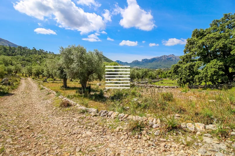 Exclusive country estate situated in the heart of Serra de Tramuntana, Mallorca — photo 3