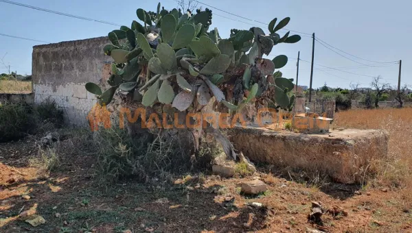 Plot with project and license in Manacor — photo 8