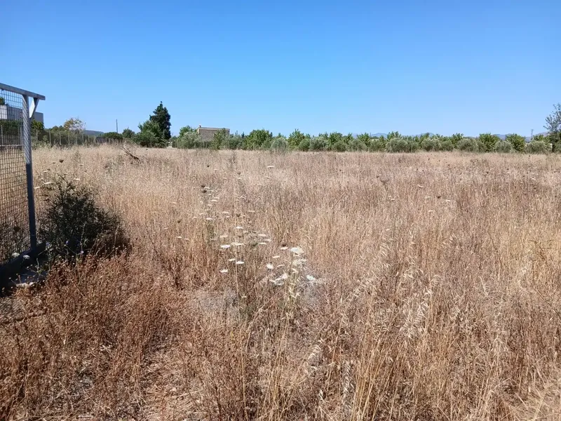 Located in the charming town of Consell, between Santa Maria and Consell, accessible via a comfortable paved road adjacent to the highway — photo 5