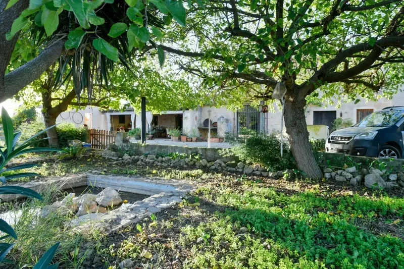Spacious rustic finca for sale with occupancy certificate in Petra, on a plot of more than 19,000 m2 with especially fertile land — photo 3