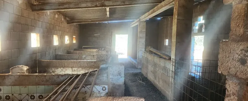 Rustic Farmhouse with Agricultural Classification, Located in the Sineu Area of Mallorca, Known for Its Pleasant Mediterranean Climate, It Has a C — photo 8