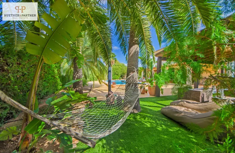 Finca with holiday rental license and profitable avocado plantation near Palma de Mallorca — photo 2