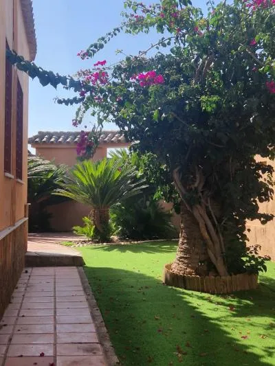 Single family house - El Puerto de Santa Maria (El Juncal - Vallealto) — photo 3