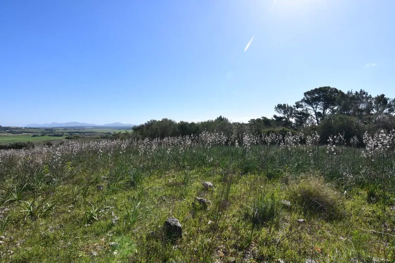 Set of 3 plots with impressive views and a total of approx 252,609m2 in Petra — photo 10