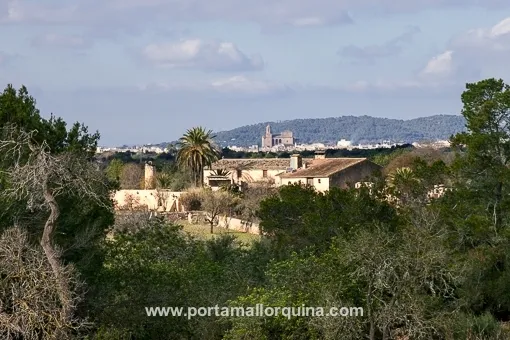 Llucmajor, spacious finca with 3 independent plots near Llucmajor — photo 3