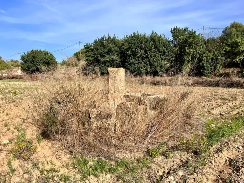 On the outskirts of Alcudia, we have this finca of about 12,900 m2 of land, with a water well, fenced finca, with 1 building in ruins. — photo 3