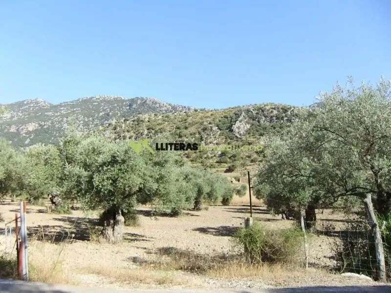 Fantastic estate in the valley between Alaro and Orient, in a paradisiacal setting surrounded by mountains. With an area of more than 50,000 m2 and u — photo 11