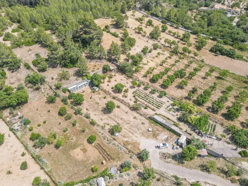 Quiet agricultural property in Calvià - 3,500 m² of nature, privacy and rural charm — photo 2