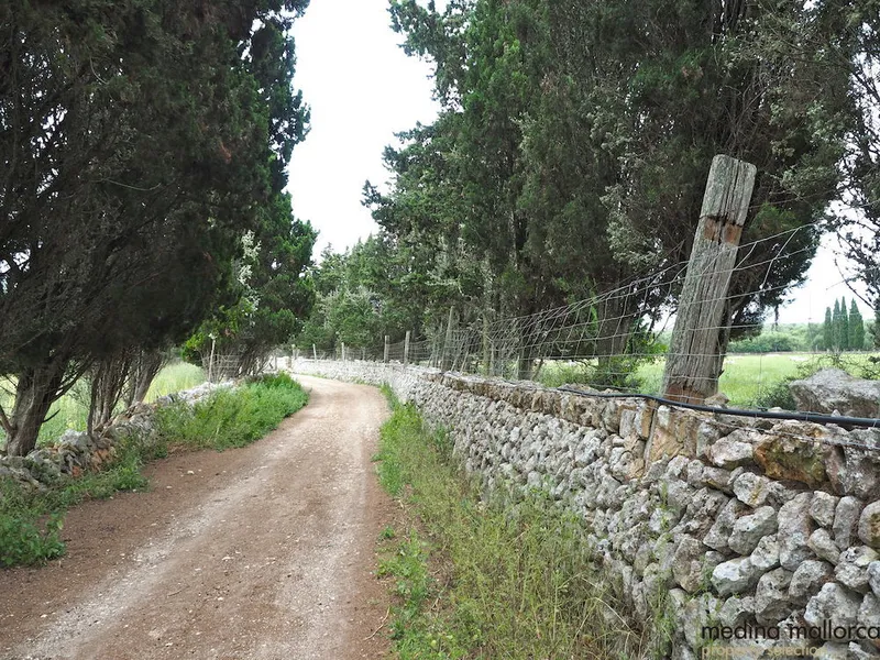 Rustic finca in Maria de la Salut — photo 10