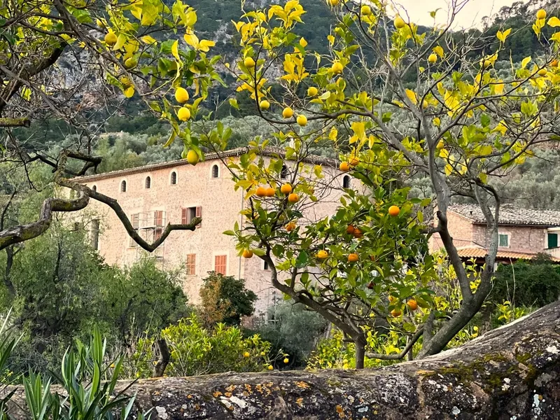 Mallorcan hamlet in Sóller — photo 7