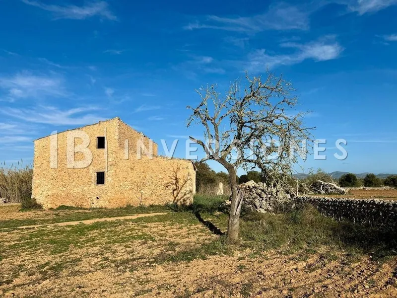 Rural or Farmhouse in Felanitx, Province of Balearic Islands — photo 3