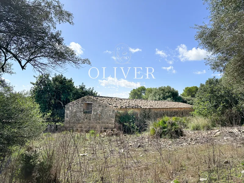 Beautiful finca with sea views in Alcudia — photo 9